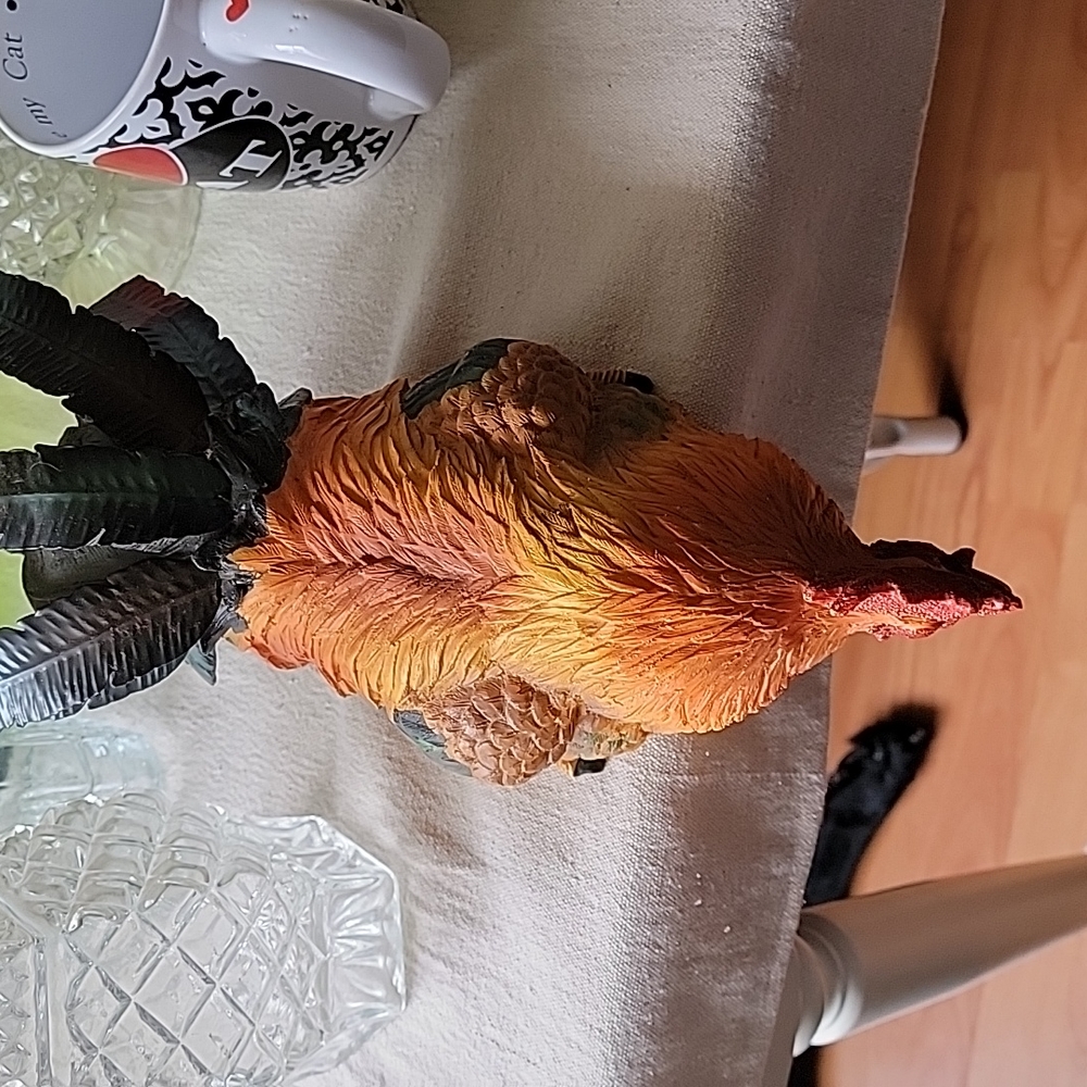 Rooster